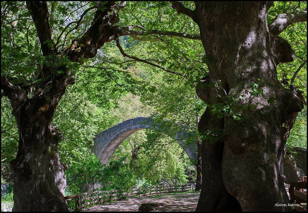 Scenic Walking Trails