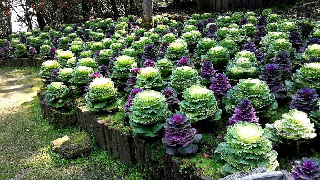 Royal Villa & Exhibition Hall