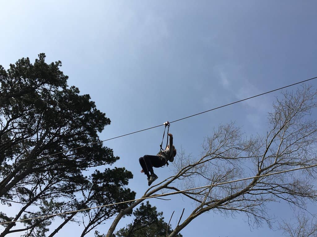 Exhilarating Zip Lines