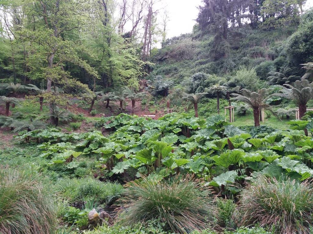 The Concrete Skatepark