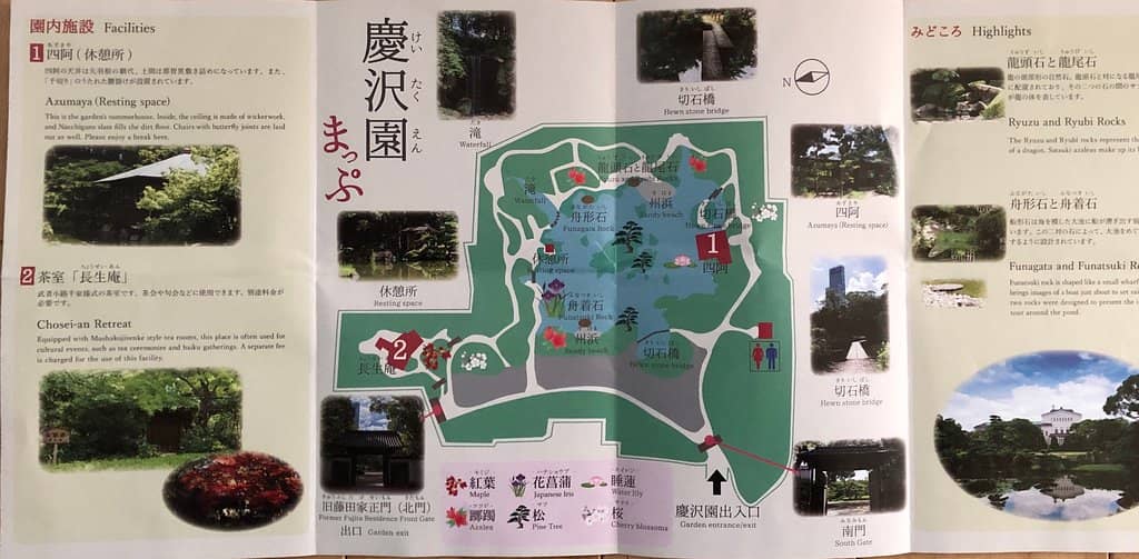 Native Flora and Landscaping