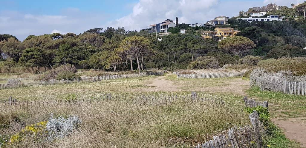 Scenic Coastal Trails