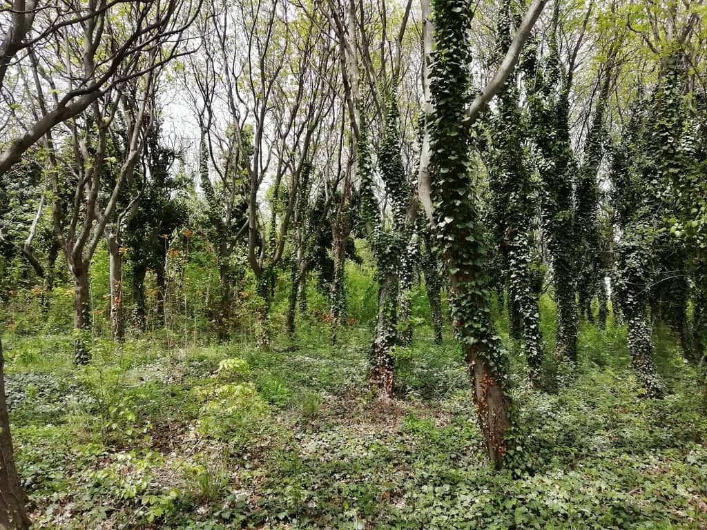 Monuments and Fountains