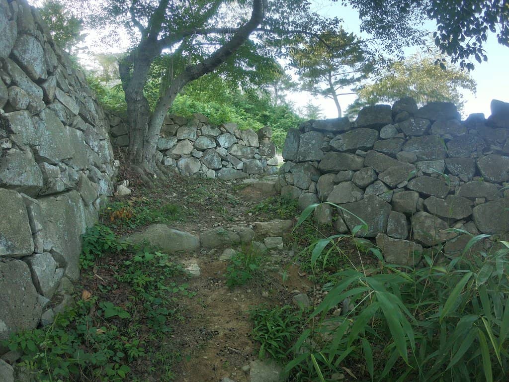 Ocean Views from the Courtyard