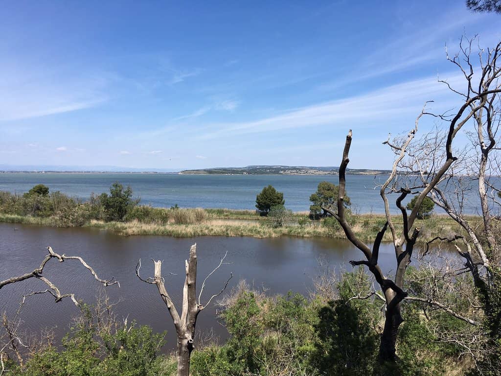 Coastal Walk to Wild Beach