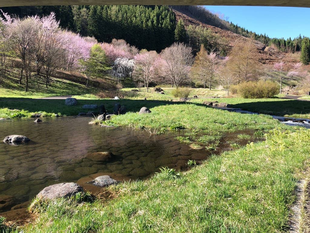Panoramic Summit Views