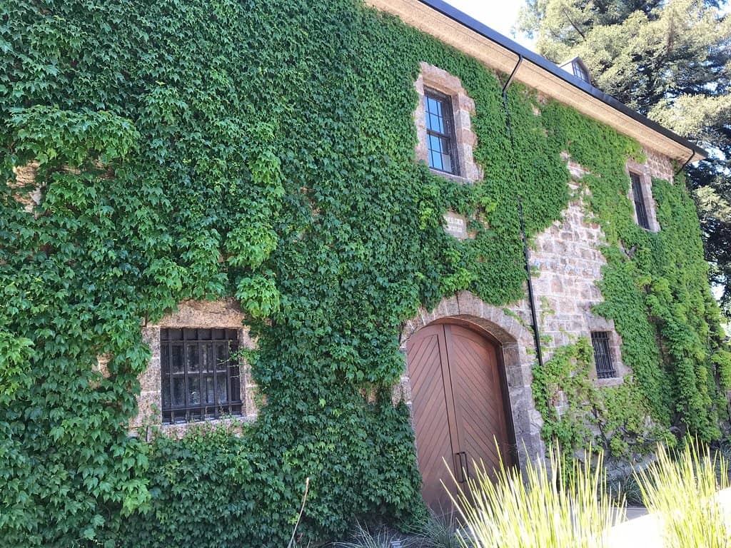 Elevated Wine Tasting