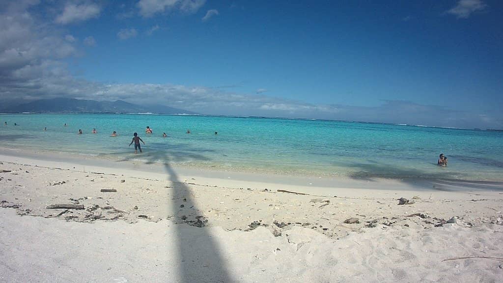 Vibrant Coral Gardens