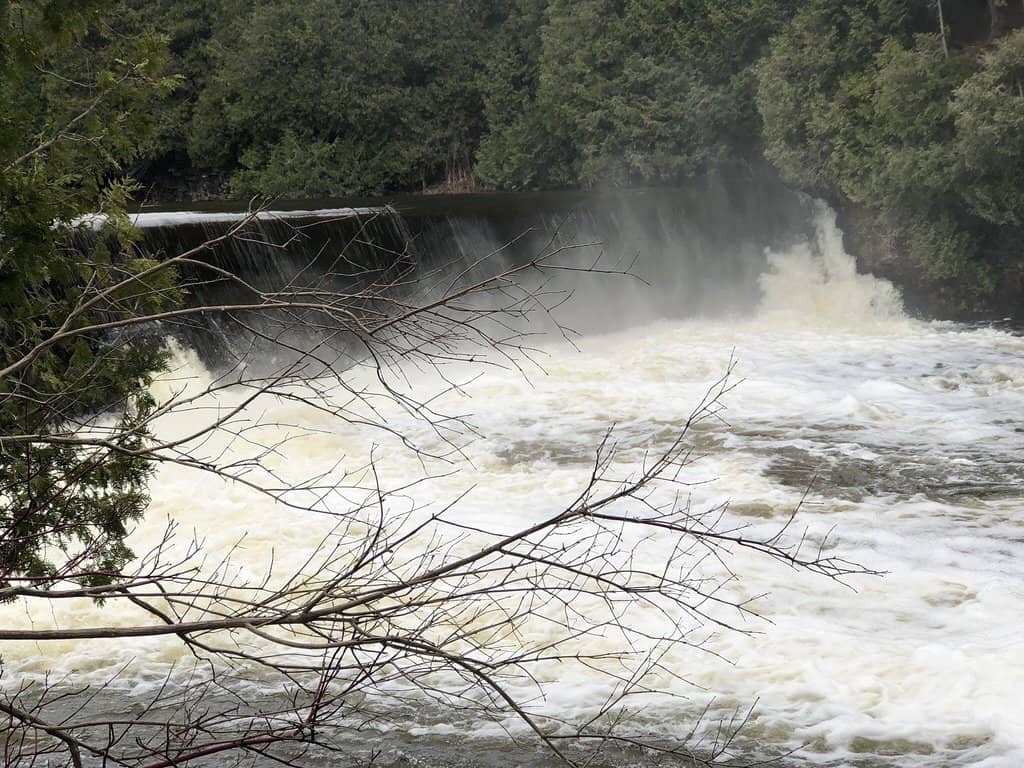 Shaded Riverside Seating
