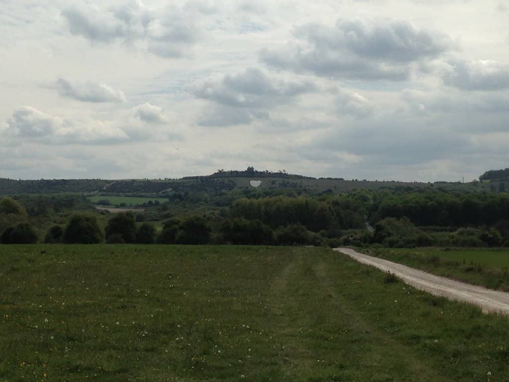 Wildlife Spotting Opportunities