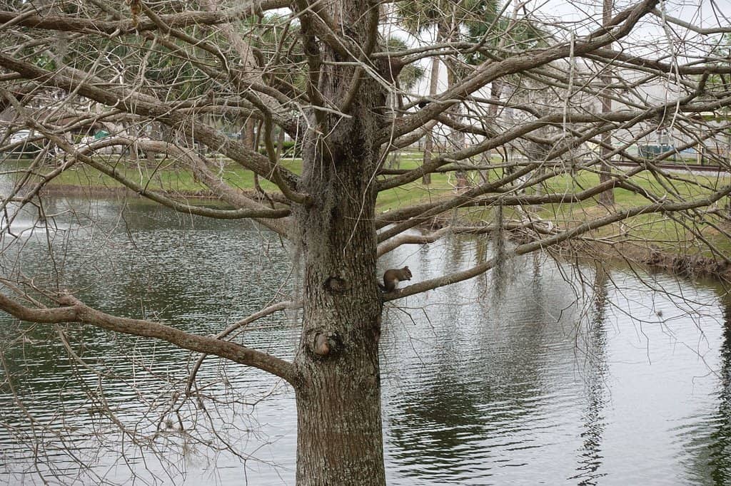 Lake Views & Lighthouse