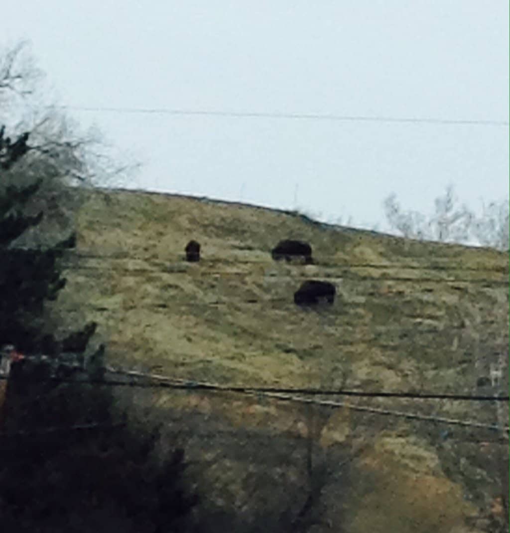 Playground Adventures
