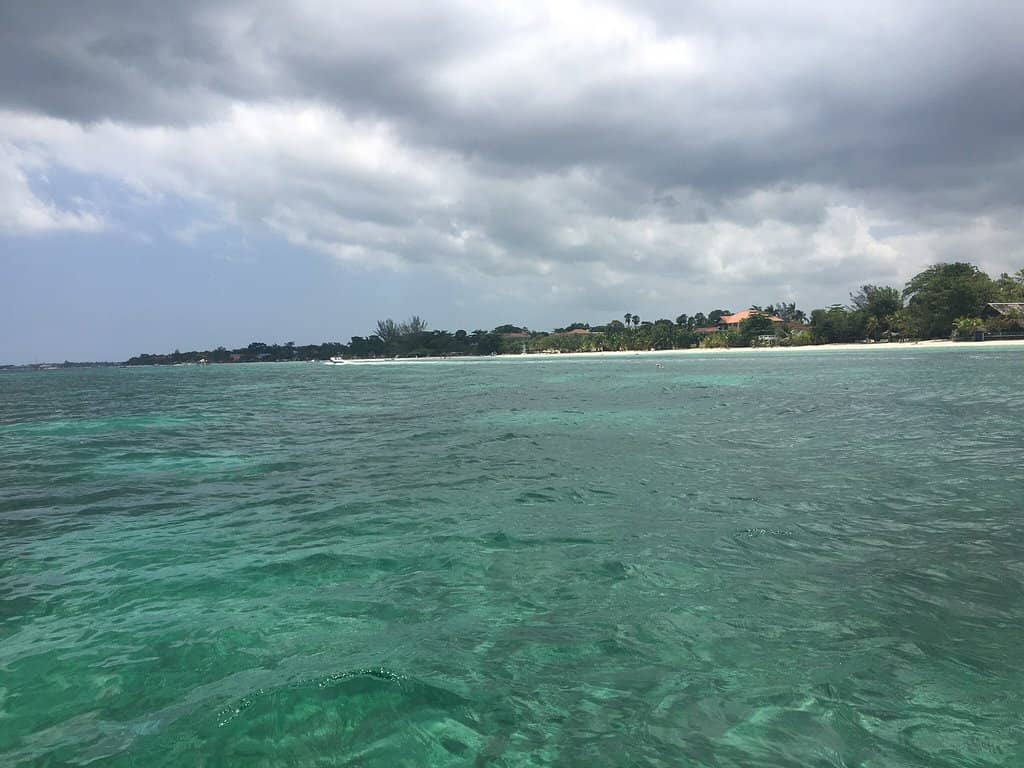 Glass-Bottom Boat Tours