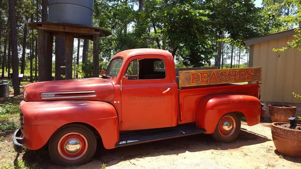 Fischer & Wieser Farmstead Shop