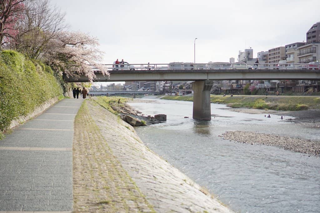 Kamogawa Delta