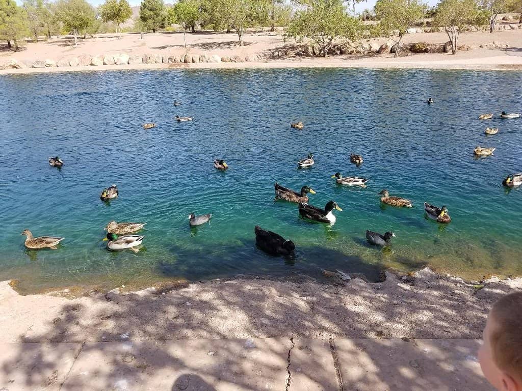 Fishing Lake