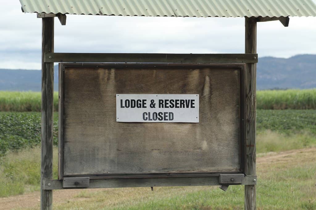 Scenic Rainforest Hike