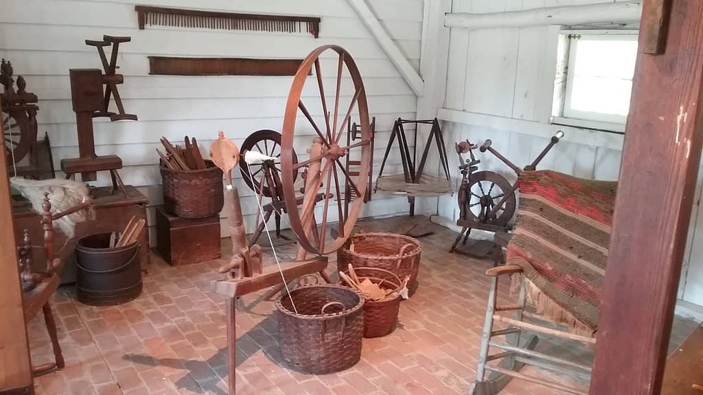 The Circus Collection