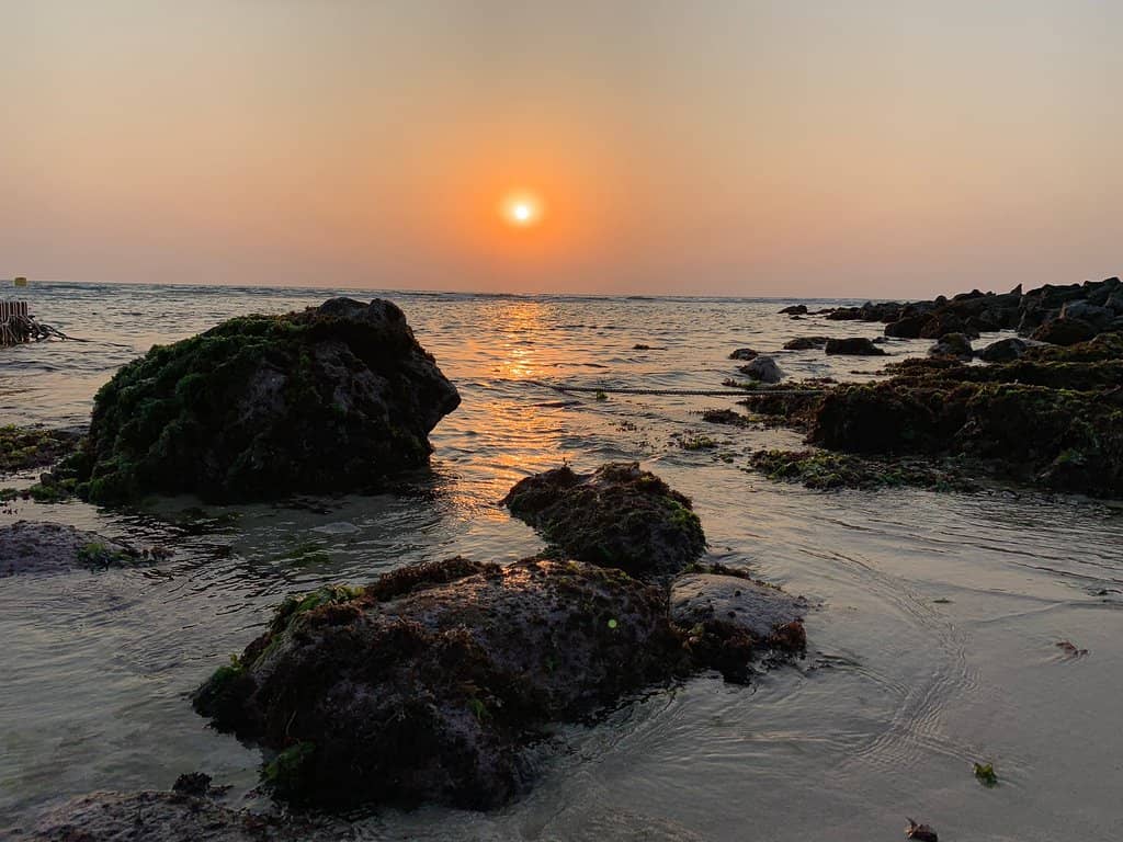 Instagrammable Cafes