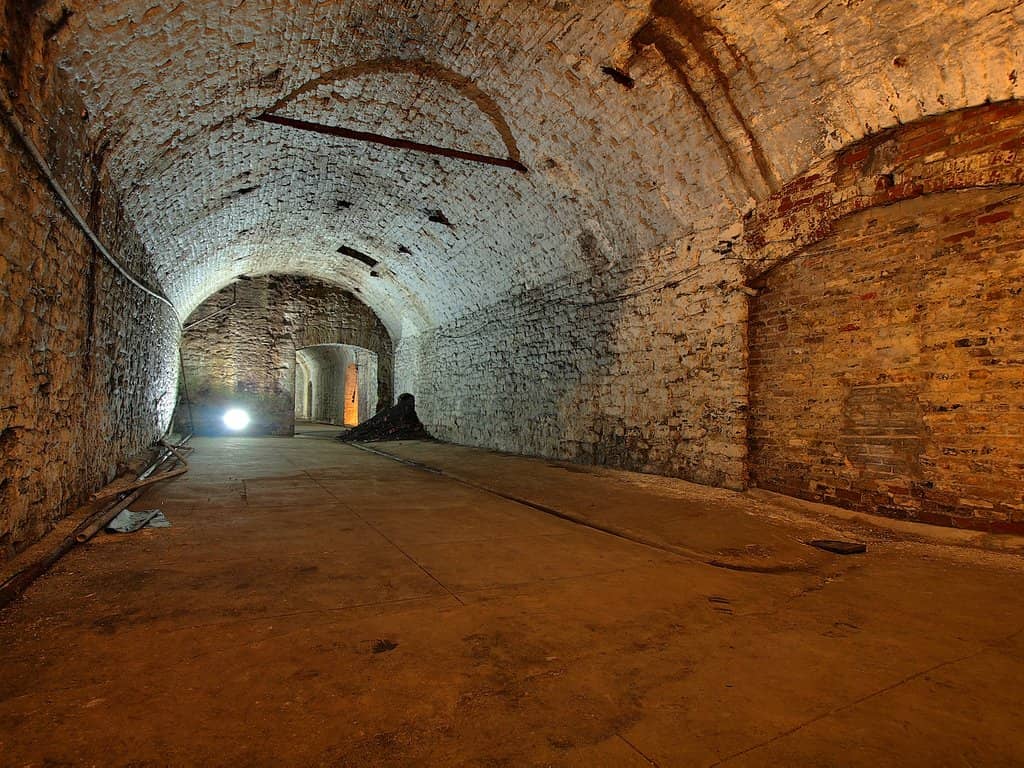 Modern Brewery Insights