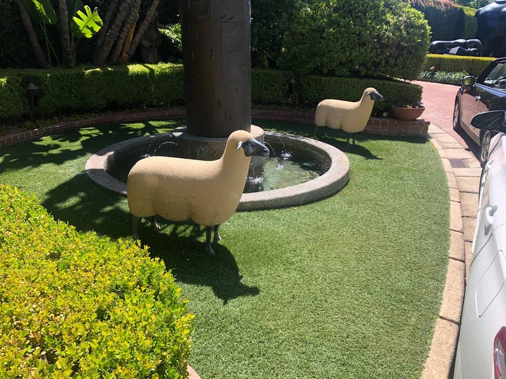 Vintage Car Collection