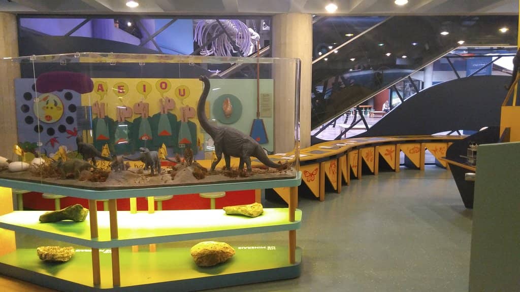 Human Body & Energy Sections