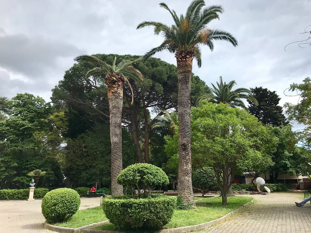 Exotic Palace Gardens