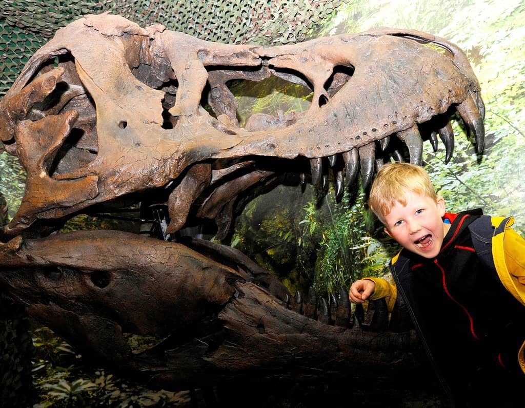 Interactive Task Sheets