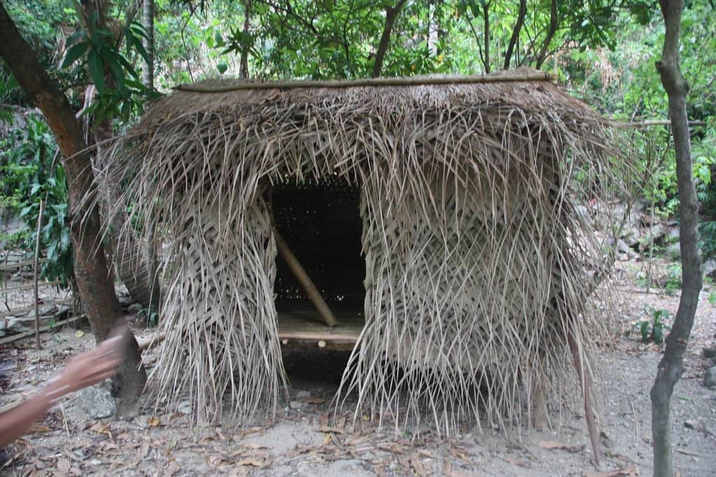 Traditional Remedies