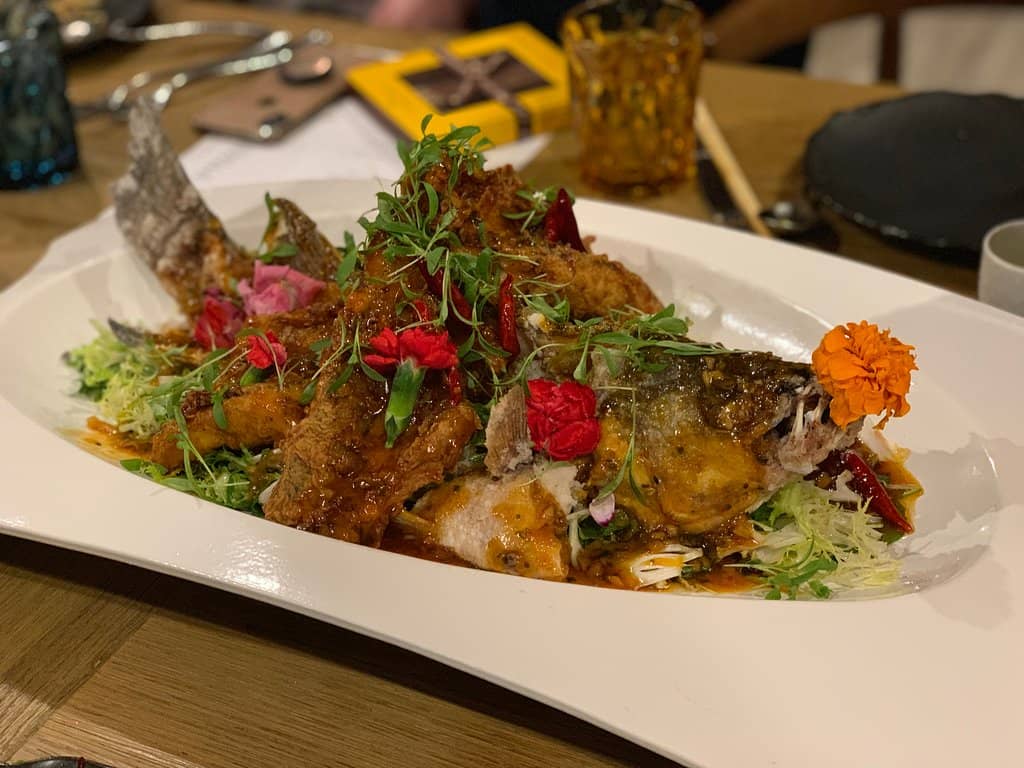 Vibrant Atmosphere and Live Music