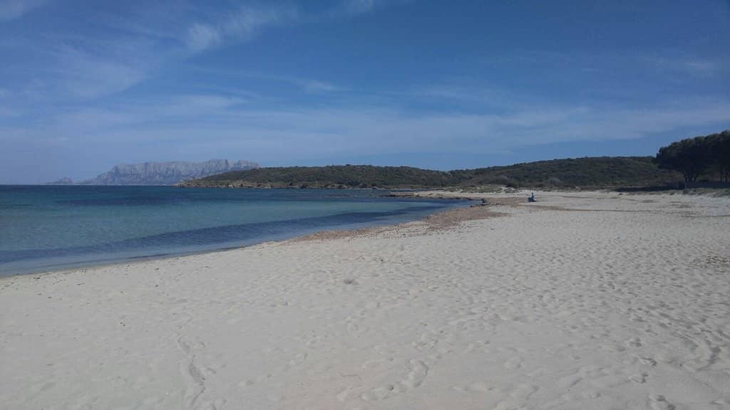 Pristine White Sands