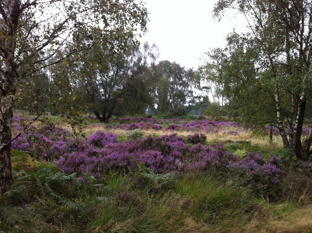 Slitting Mill Waterfall