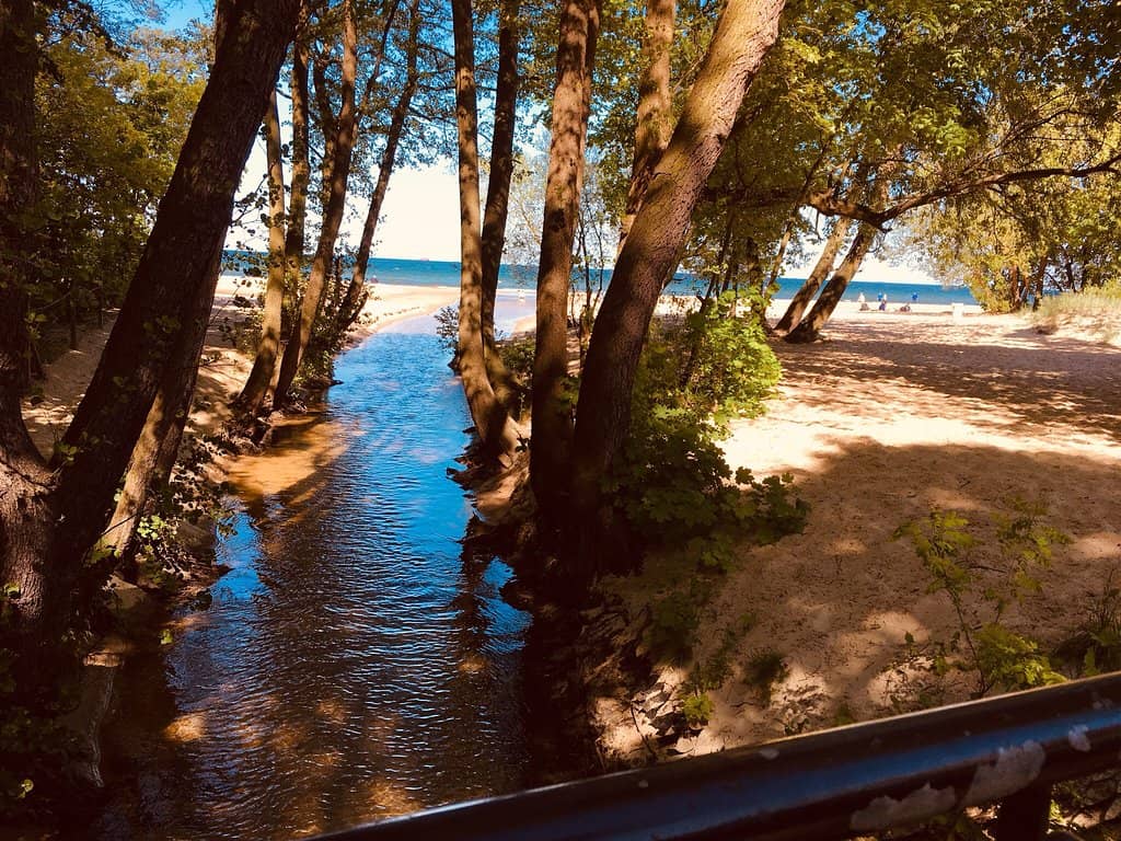Relaxing Beach Strolls