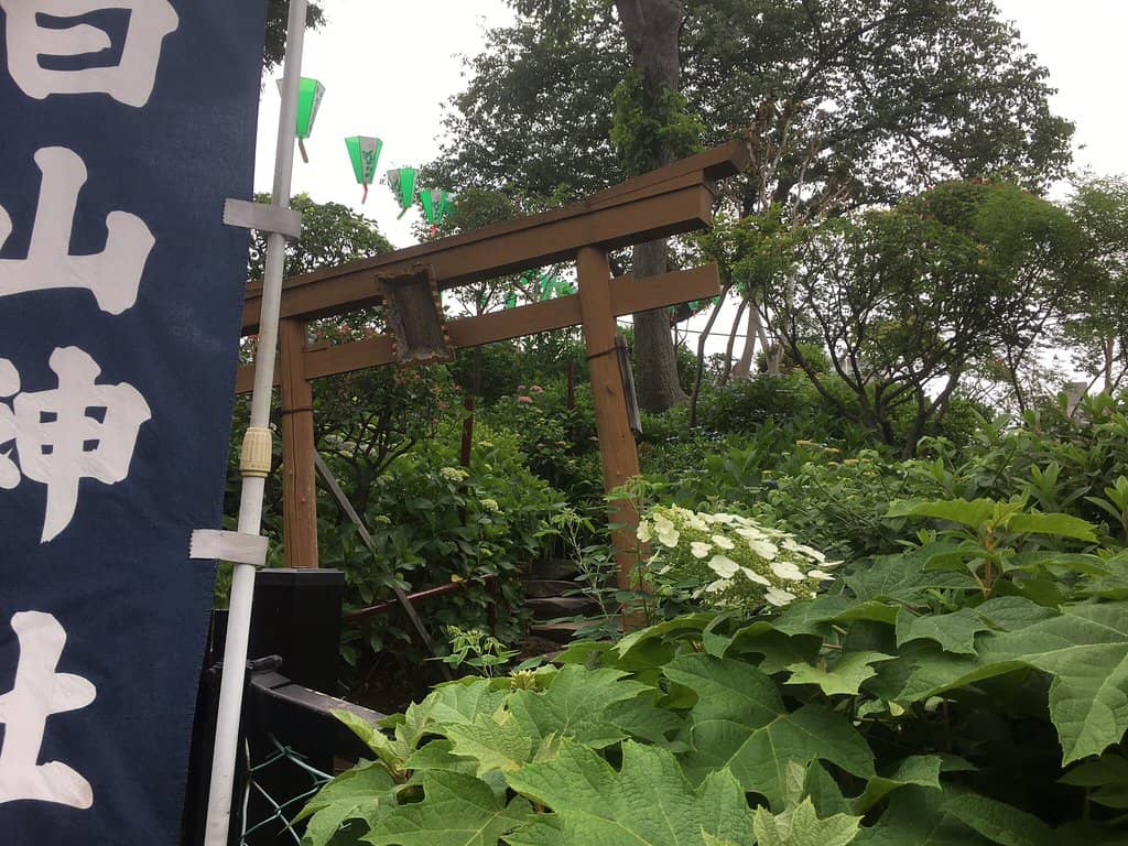 Peaceful Shrine Atmosphere