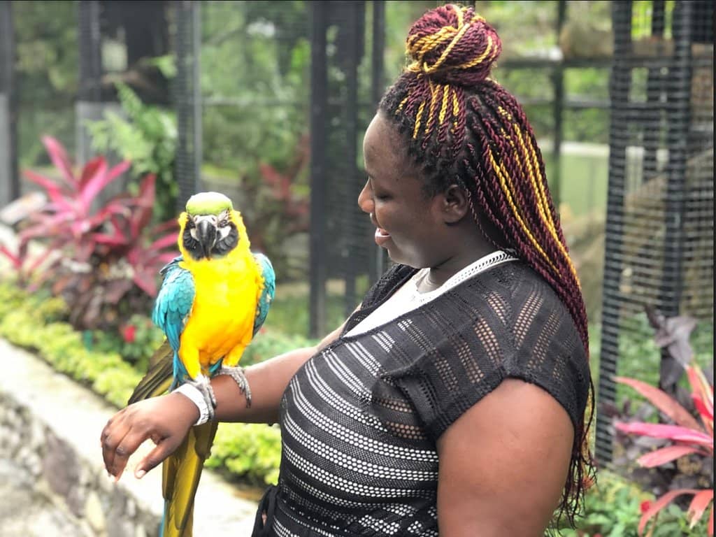 Lush Botanical Gardens