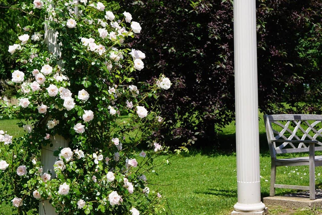 Botanical Garden Oasis