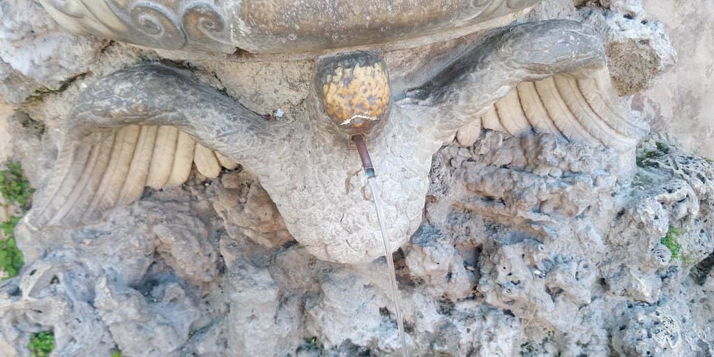 Tranquil Garden Ambiance