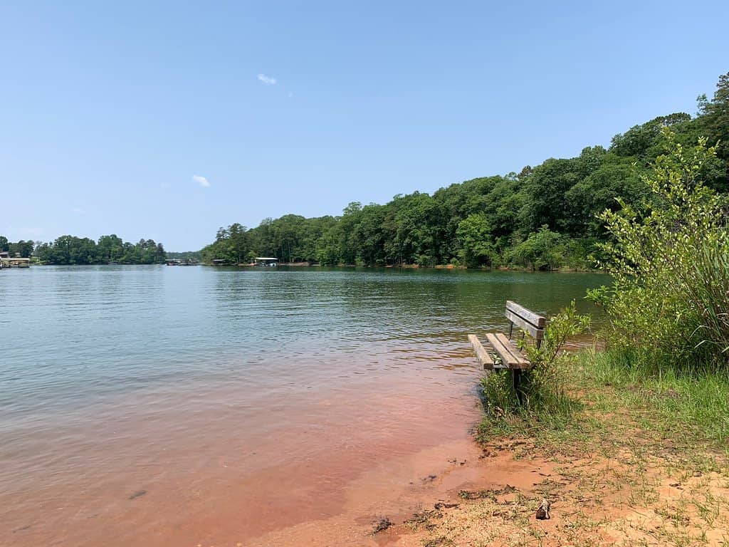 Wooded Walking Trails