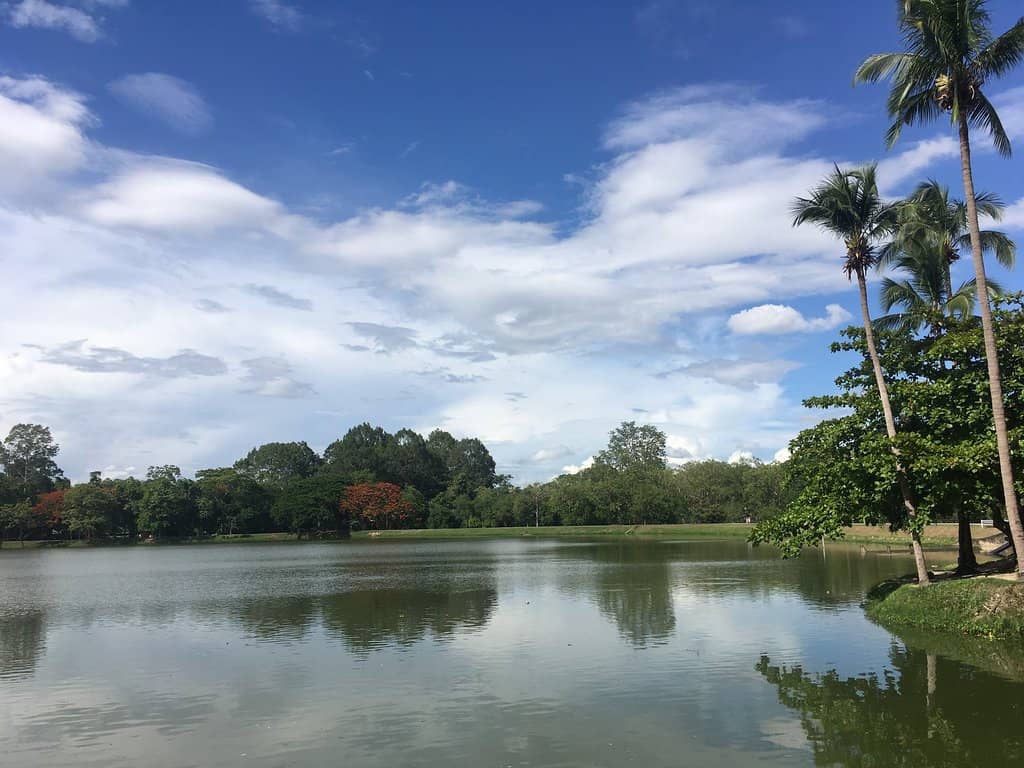 Morning Jogging Path
