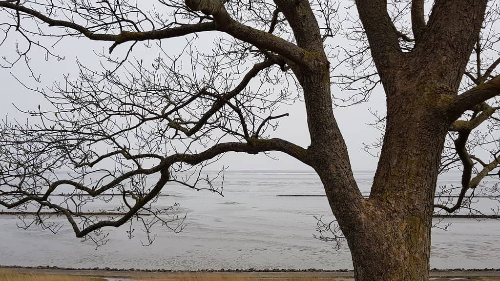 Traditional Sylt Life