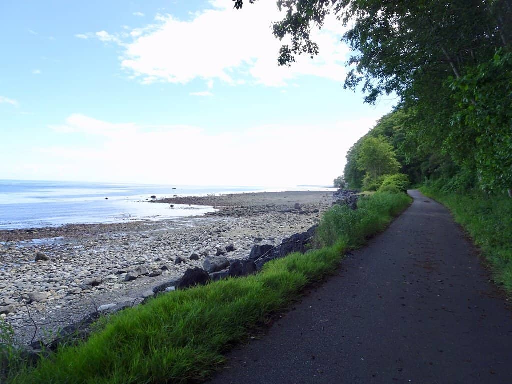 Quaint Farm Stands and Local Charm