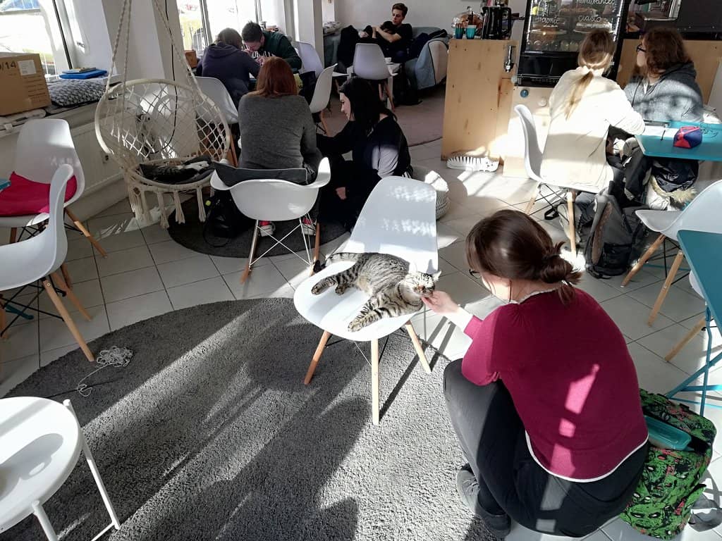 Seasonal Collections