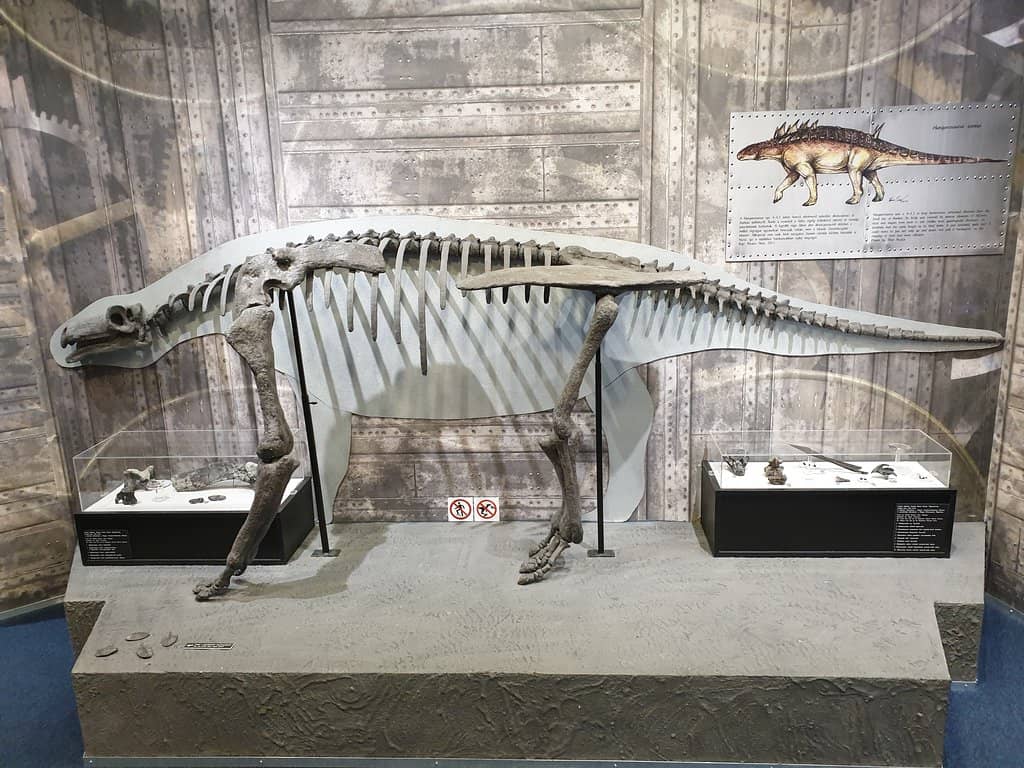 Interactive Learning