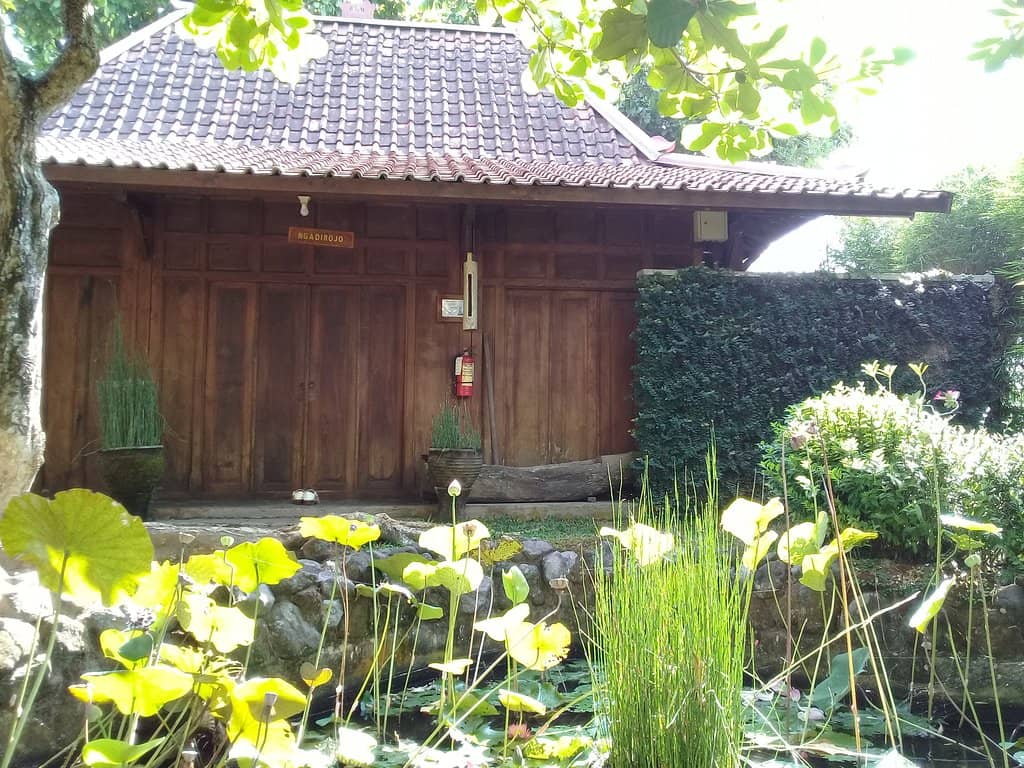 Refreshing Swimming Pool