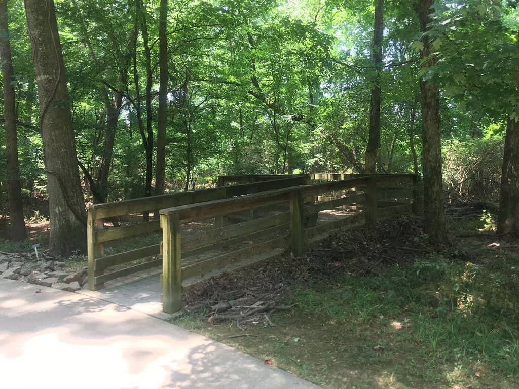 Amphitheater & Stone Seating
