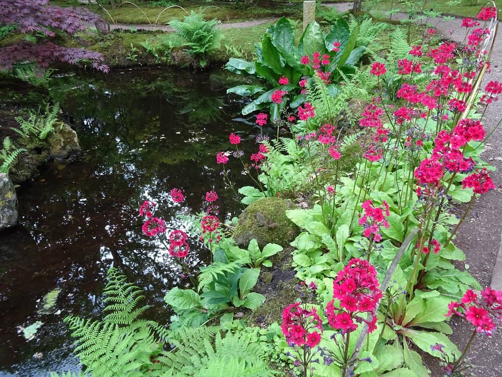 Tranquil Ponds & Bridges