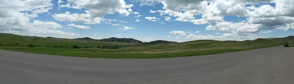 Majestic Bison Herds
