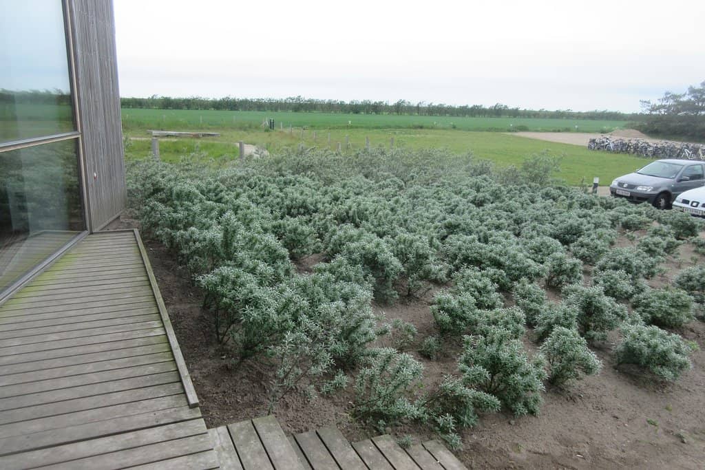 Cultural History Insights