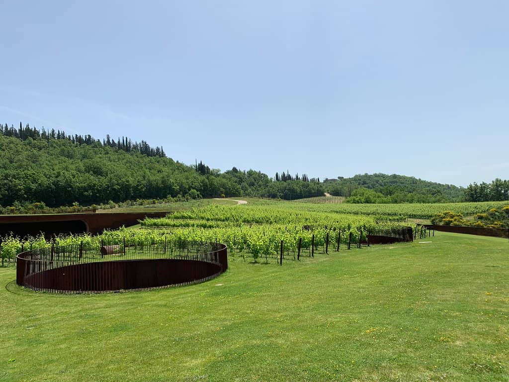 Vineyard Views & Restaurant