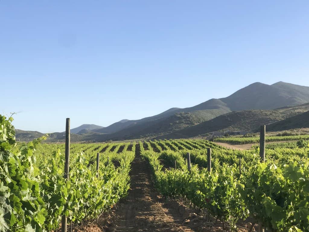 Exceptional Wine Tasting